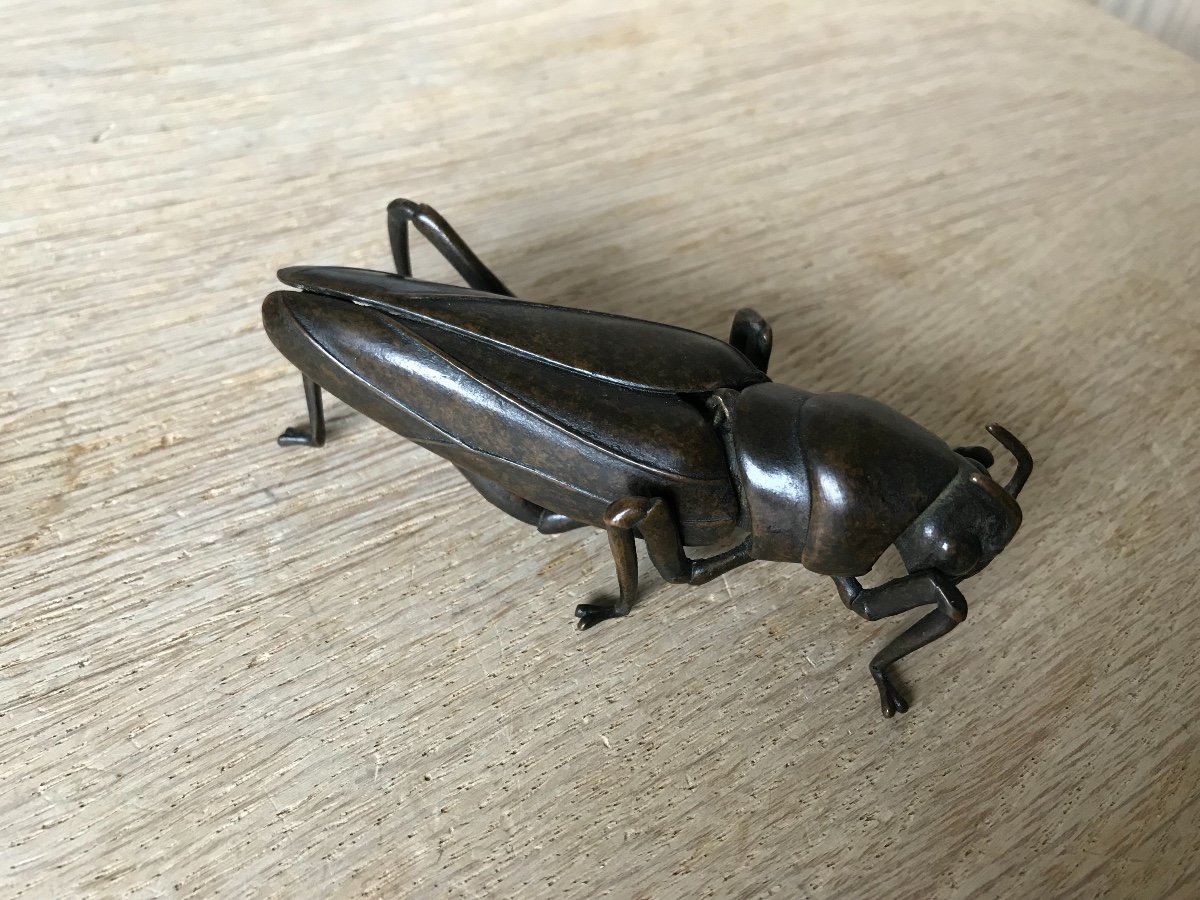 Jizai Okimono Articulated Grasshopper In Bronze