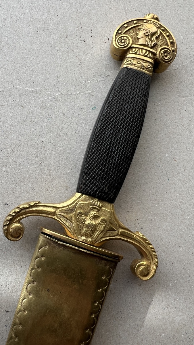 French Deluxe Naval Officers Dagger -photo-1