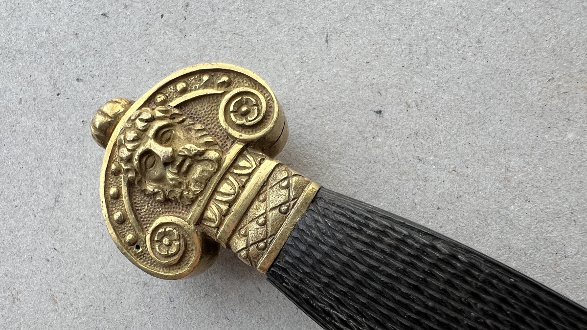 French Deluxe Naval Officers Dagger -photo-5