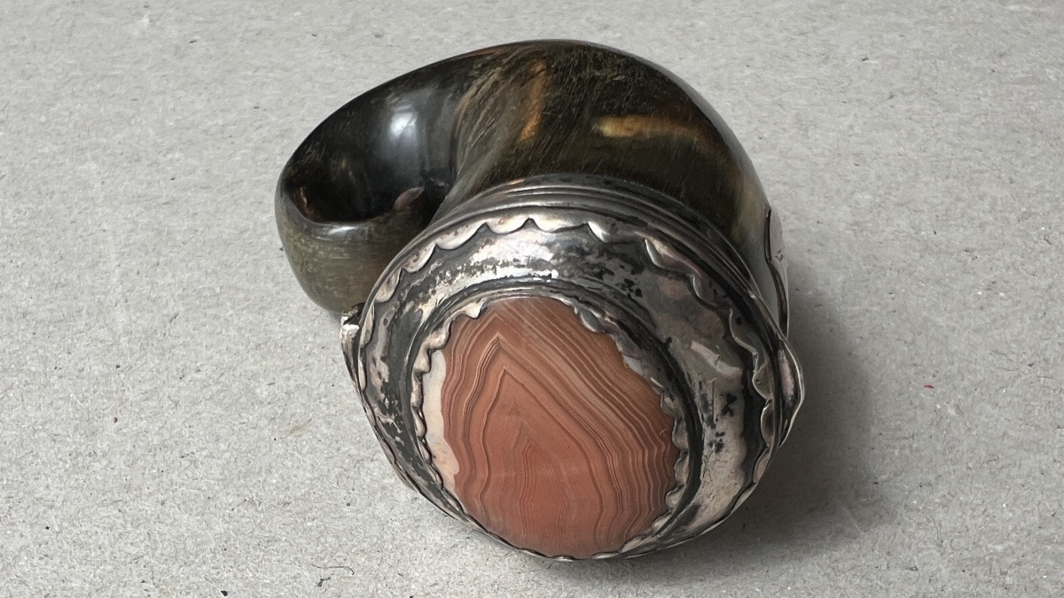 petite tabatière en corne et argent-photo-3
