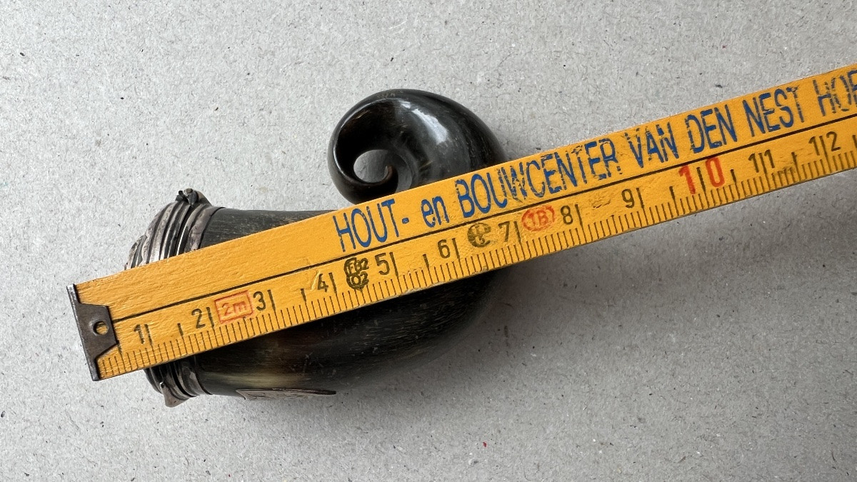 petite tabatière en corne et argent-photo-4