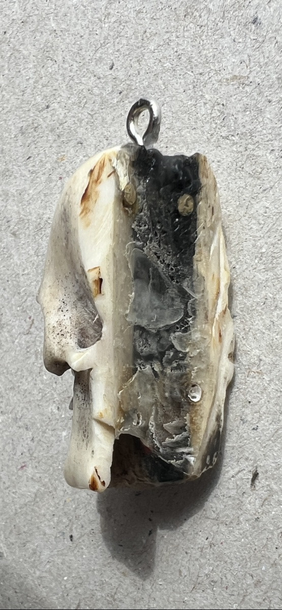 Memento Mori-photo-4