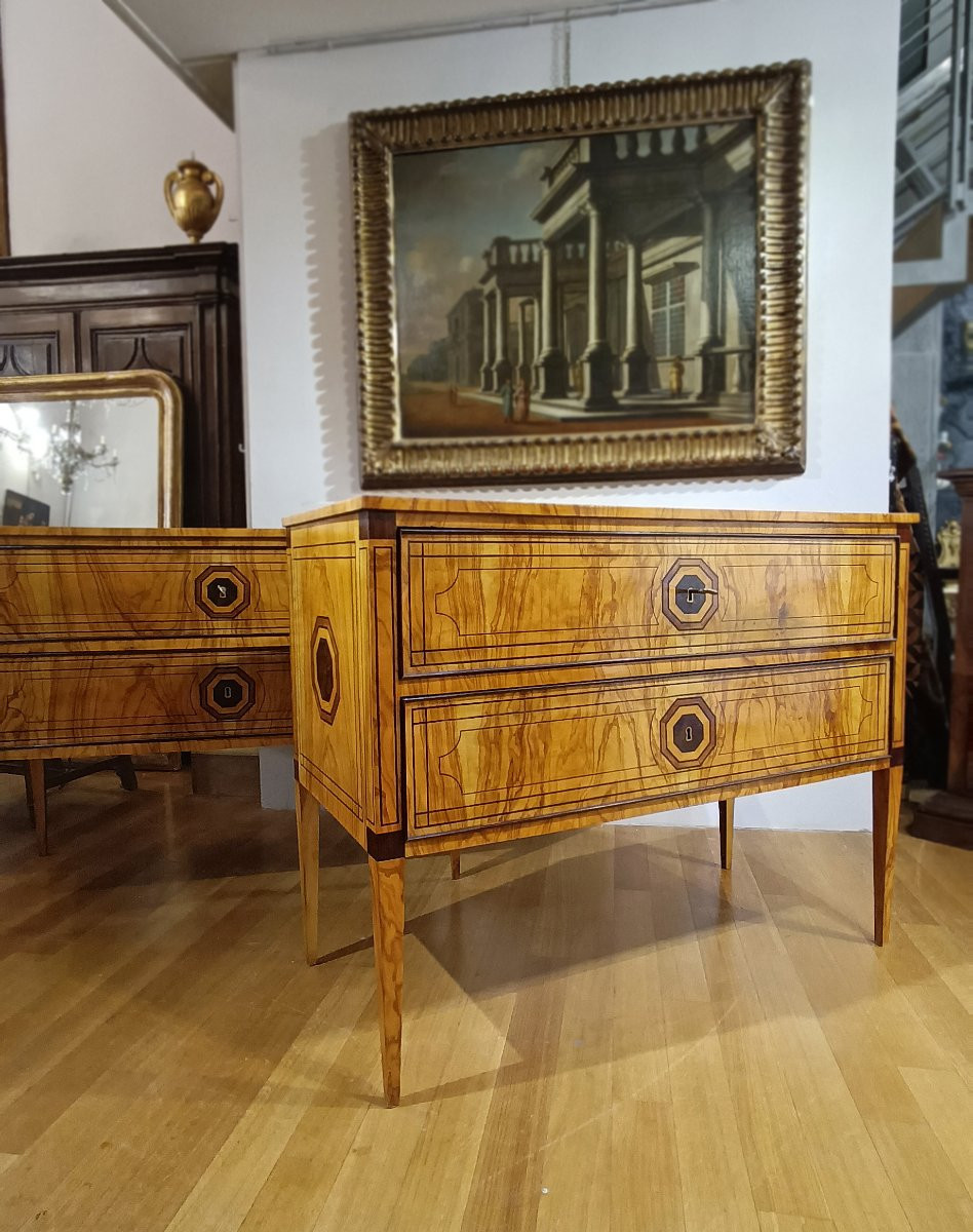 Second Half Of The 19th Century Pair Of Neoclassical-style Chest Of Drawers-photo-2