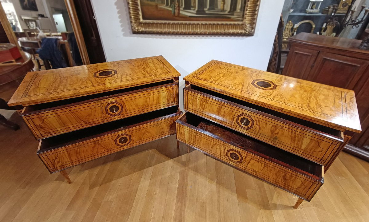 Second Half Of The 19th Century Pair Of Neoclassical-style Chest Of Drawers-photo-5