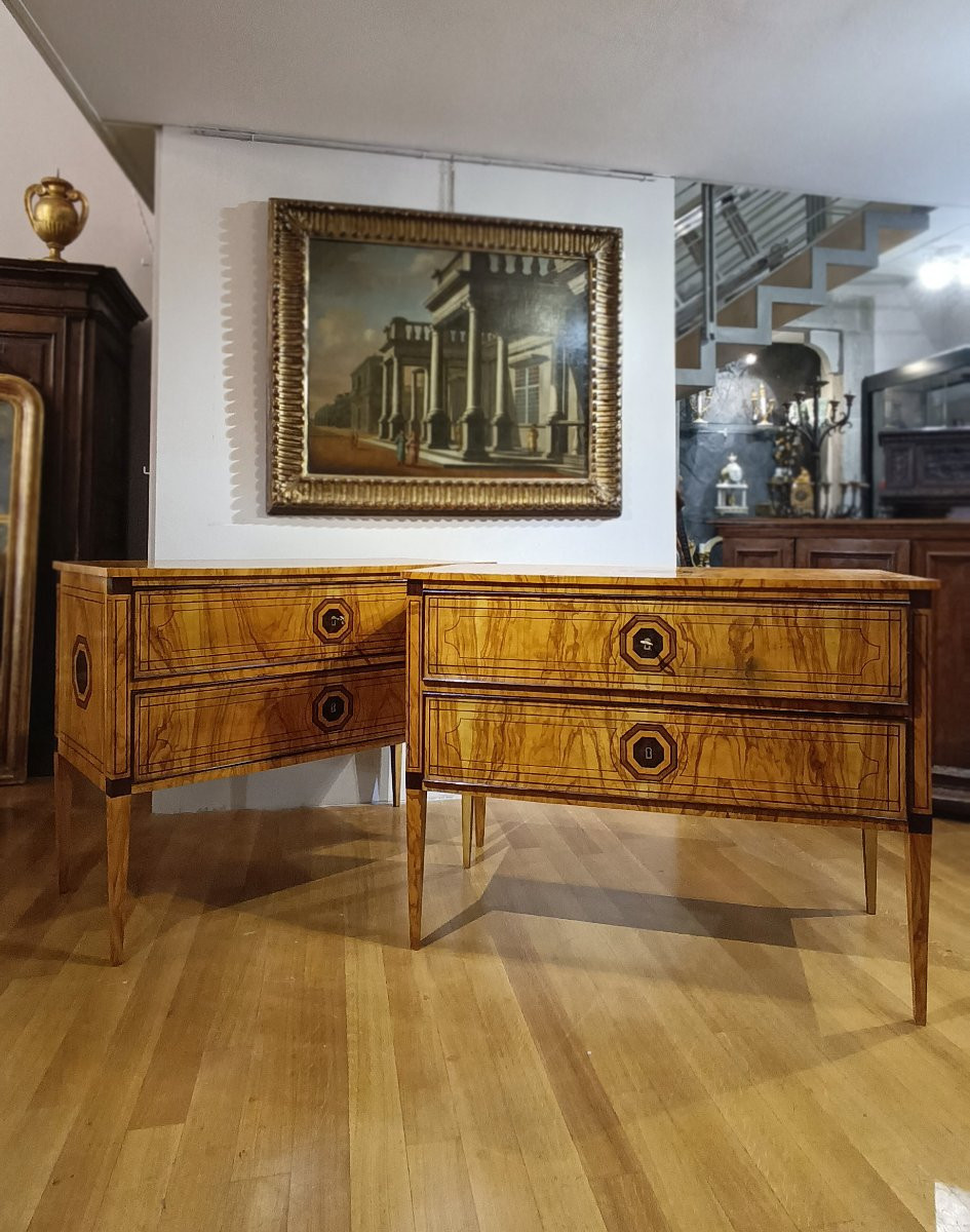 Second Half Of The 19th Century Pair Of Neoclassical-style Chest Of Drawers-photo-6