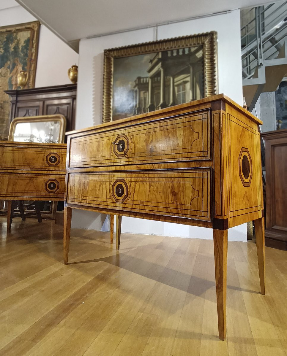 Second Half Of The 19th Century Pair Of Neoclassical-style Chest Of Drawers-photo-7