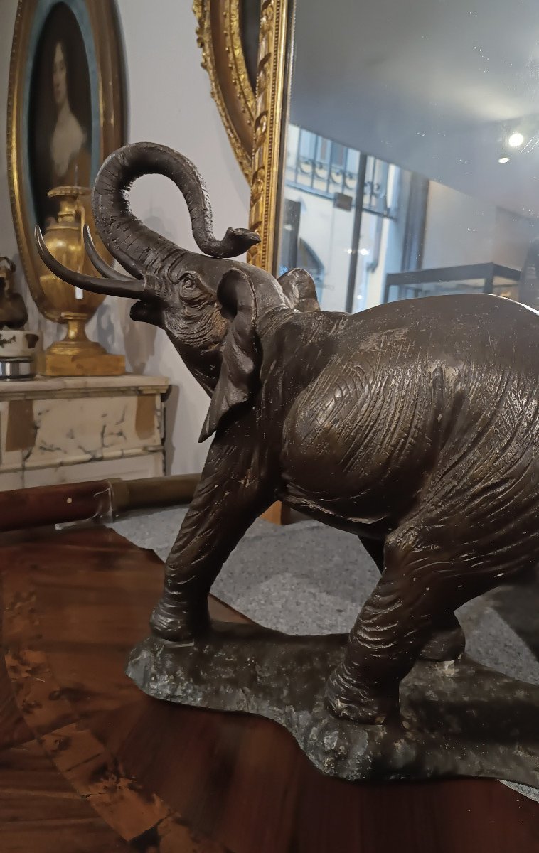 ÉLÉPHANT EN BRONZE DÉBUT DU 20ème SIÈCLE-photo-3