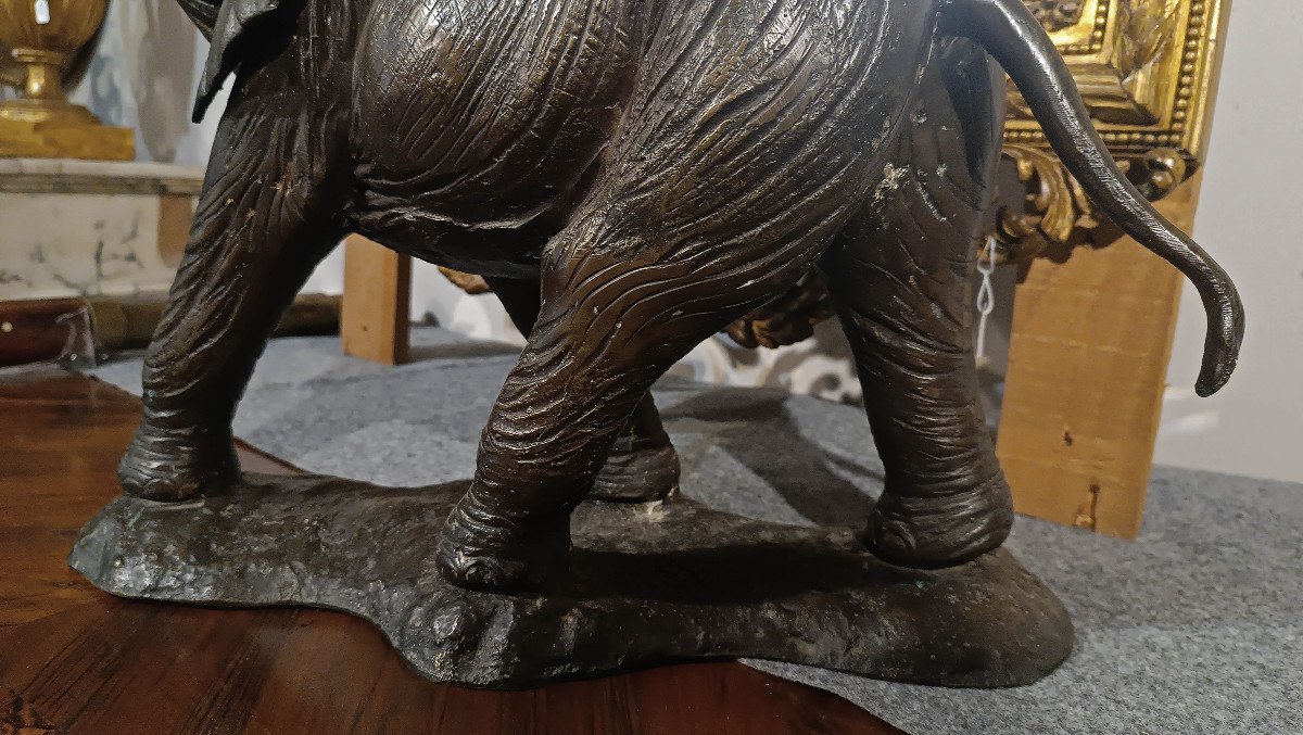 ÉLÉPHANT EN BRONZE DÉBUT DU 20ème SIÈCLE-photo-4