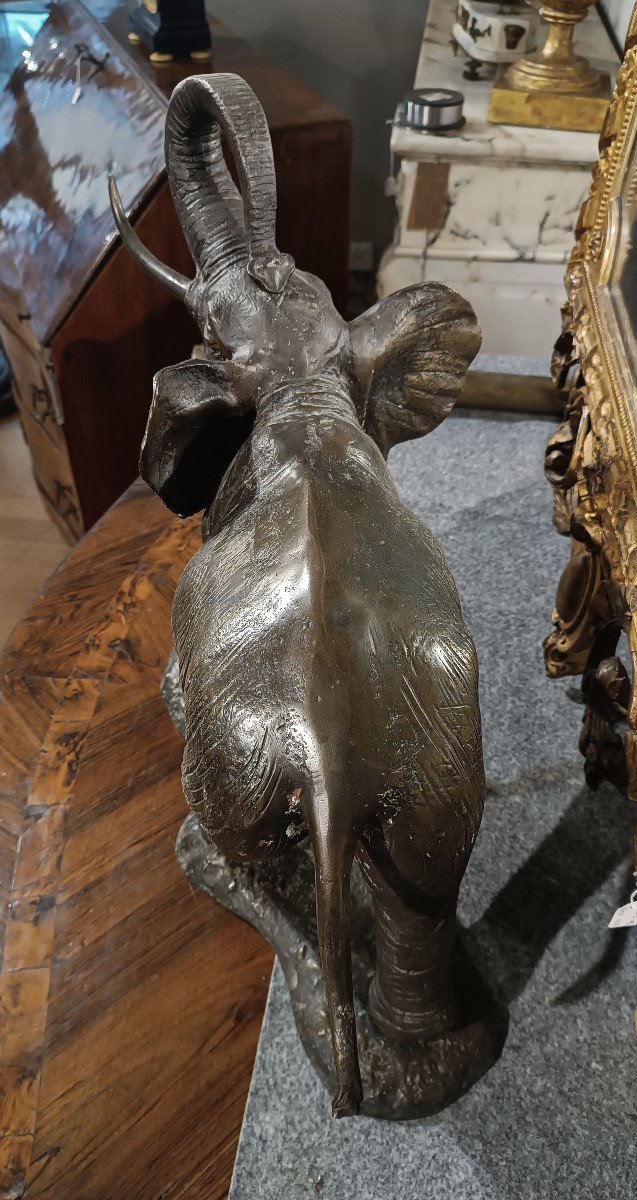 ÉLÉPHANT EN BRONZE DÉBUT DU 20ème SIÈCLE-photo-1