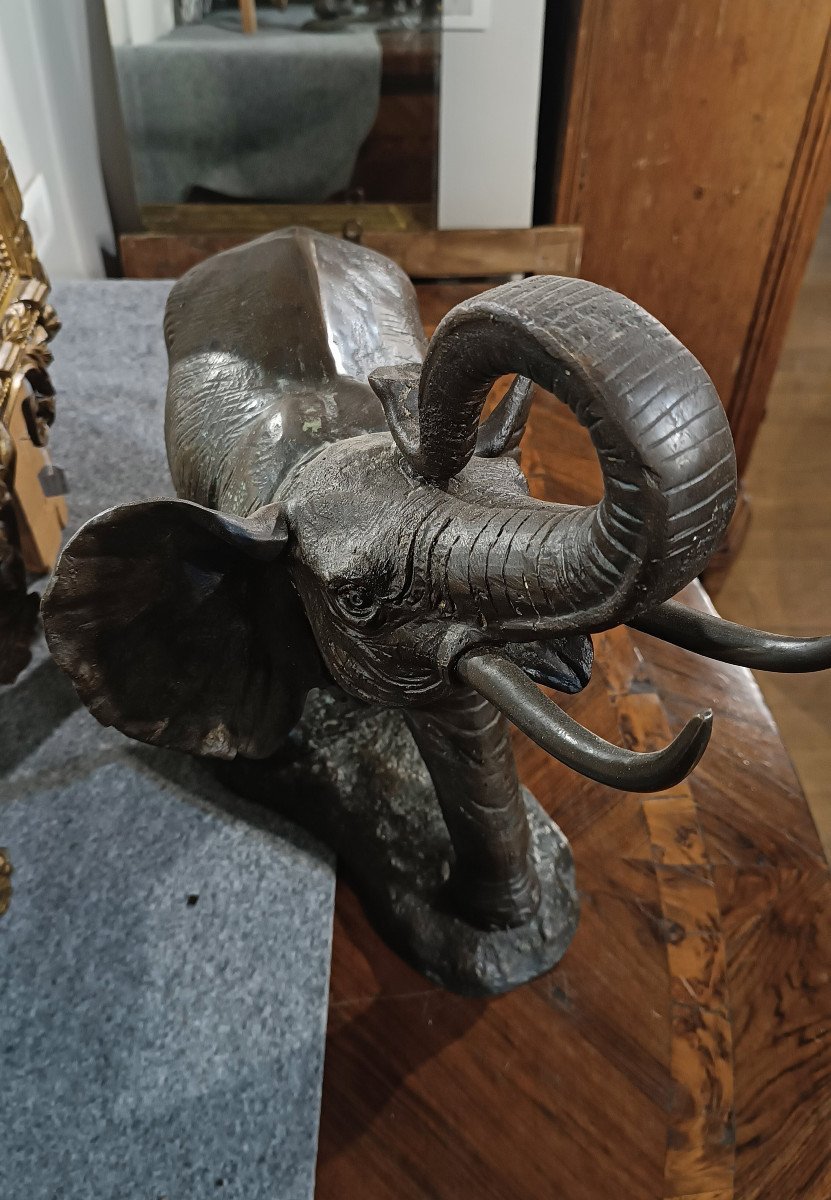 ÉLÉPHANT EN BRONZE DÉBUT DU 20ème SIÈCLE-photo-2