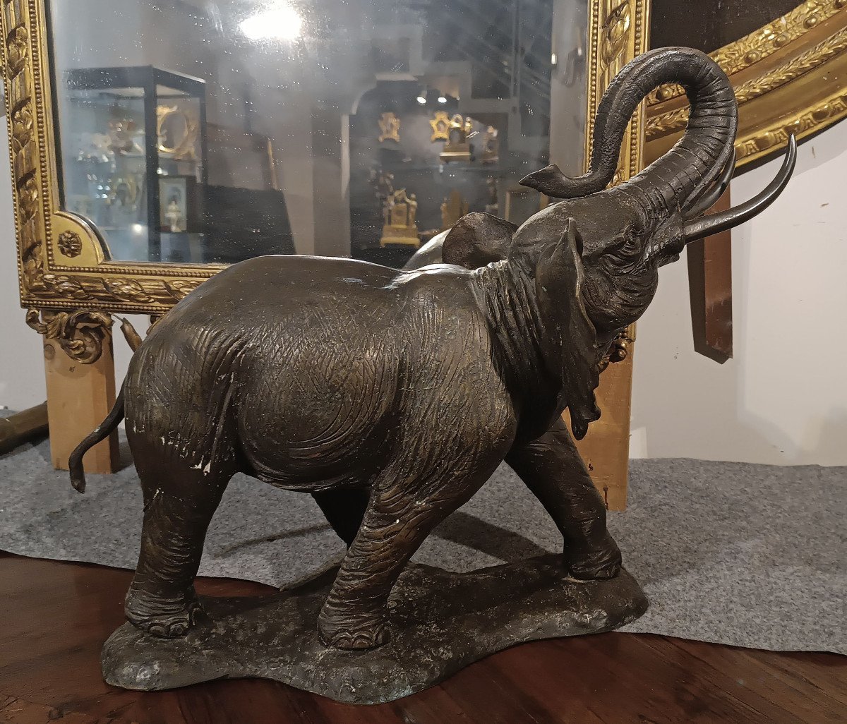 ÉLÉPHANT EN BRONZE DÉBUT DU 20ème SIÈCLE-photo-3