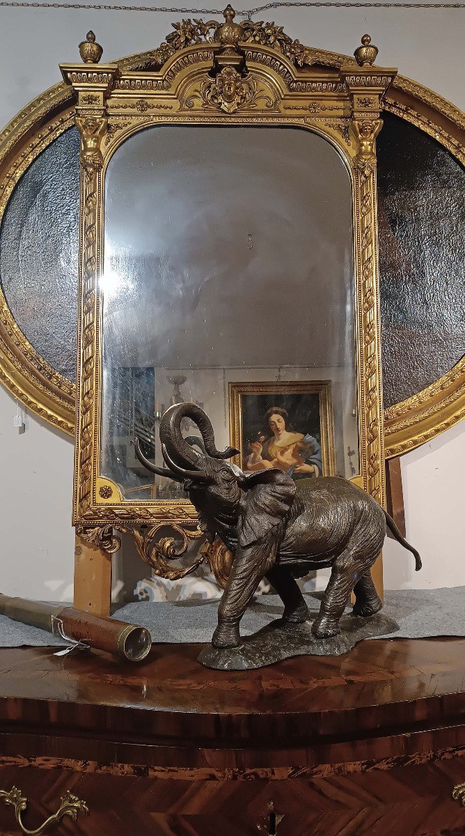 ÉLÉPHANT EN BRONZE DÉBUT DU 20ème SIÈCLE-photo-5