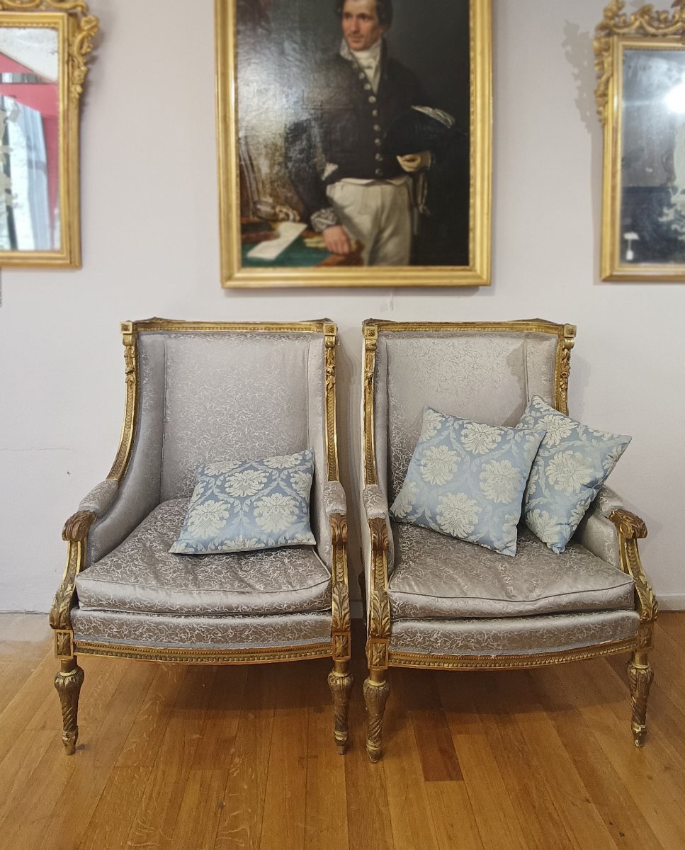 19th Century Pair Of Bergère Armchairs -photo-2