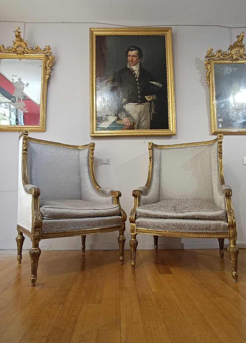 19th Century Pair Of Bergère Armchairs -photo-5