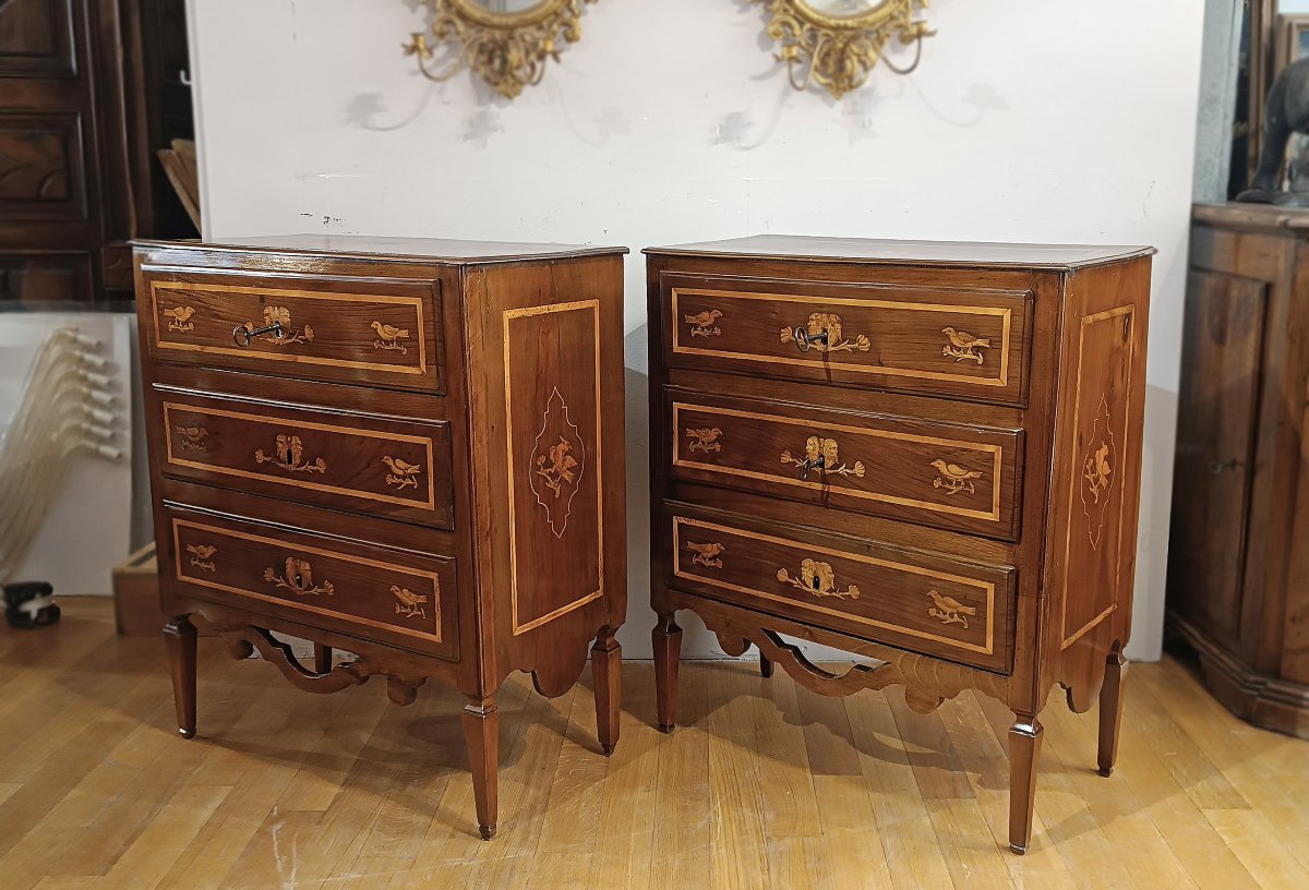 Late 18th Century Pair Of Neoclassical Chest Of Drawers With Inlays -photo-2