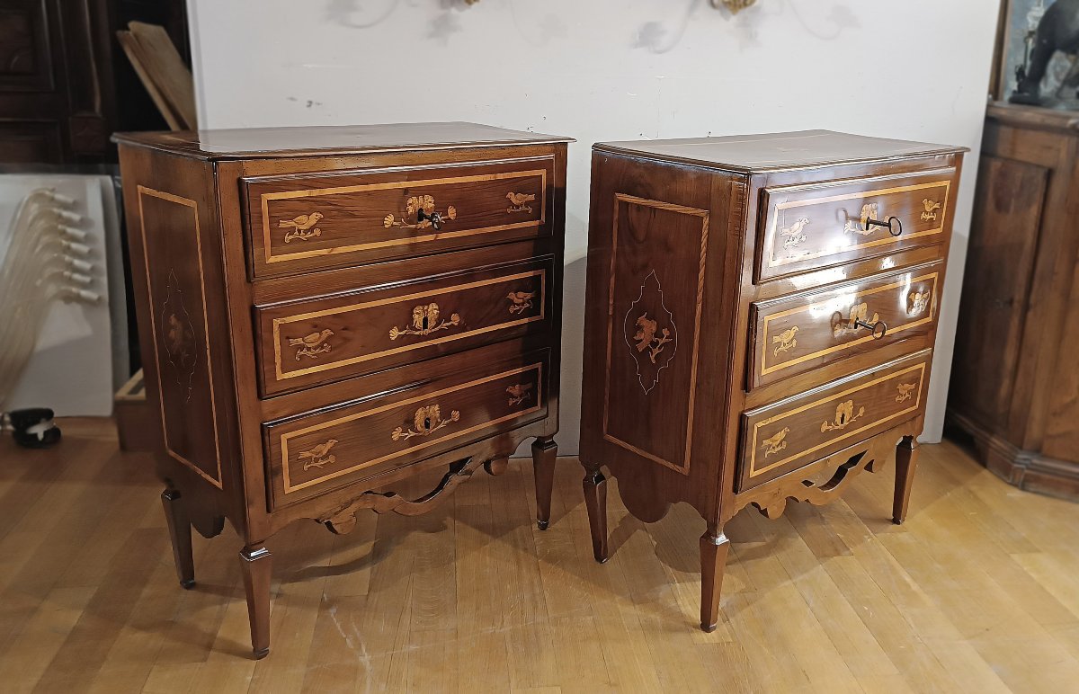 Late 18th Century Pair Of Neoclassical Chest Of Drawers With Inlays -photo-3