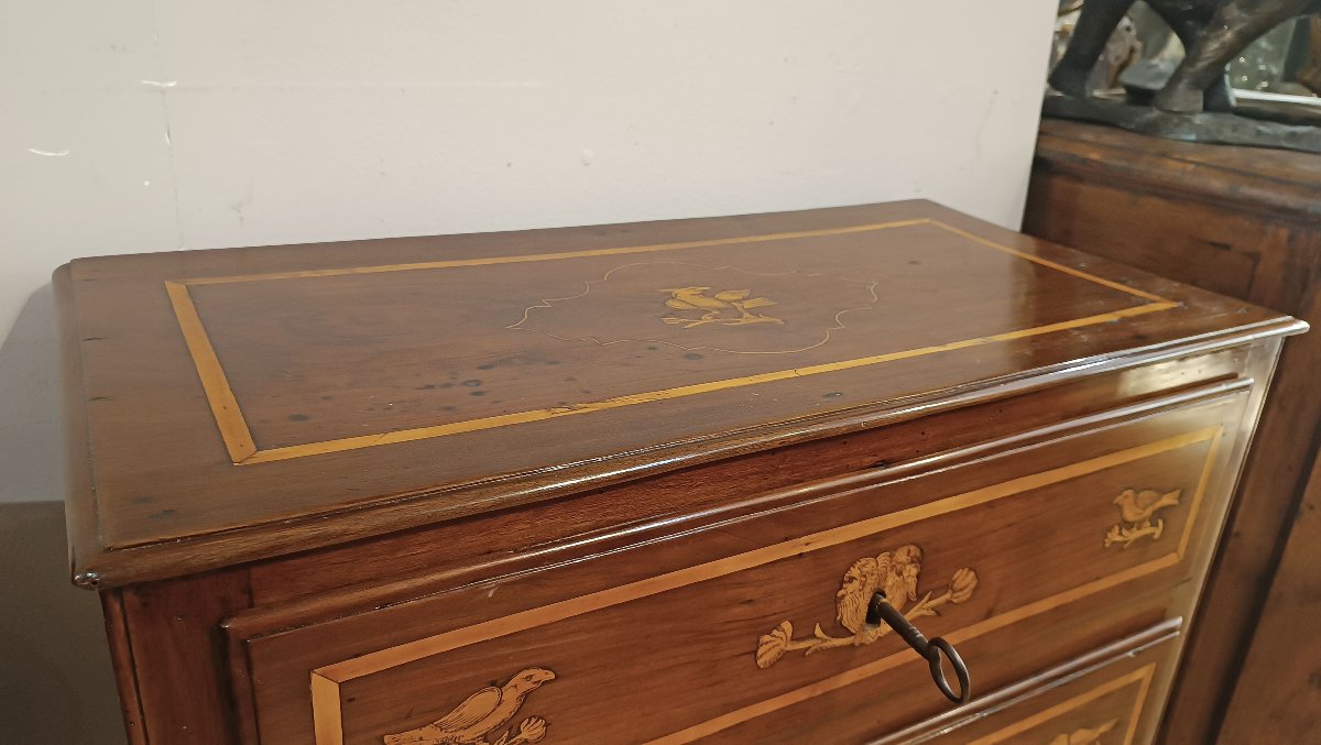 Late 18th Century Pair Of Neoclassical Chest Of Drawers With Inlays -photo-2