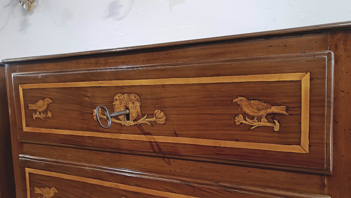 Late 18th Century Pair Of Neoclassical Chest Of Drawers With Inlays -photo-4