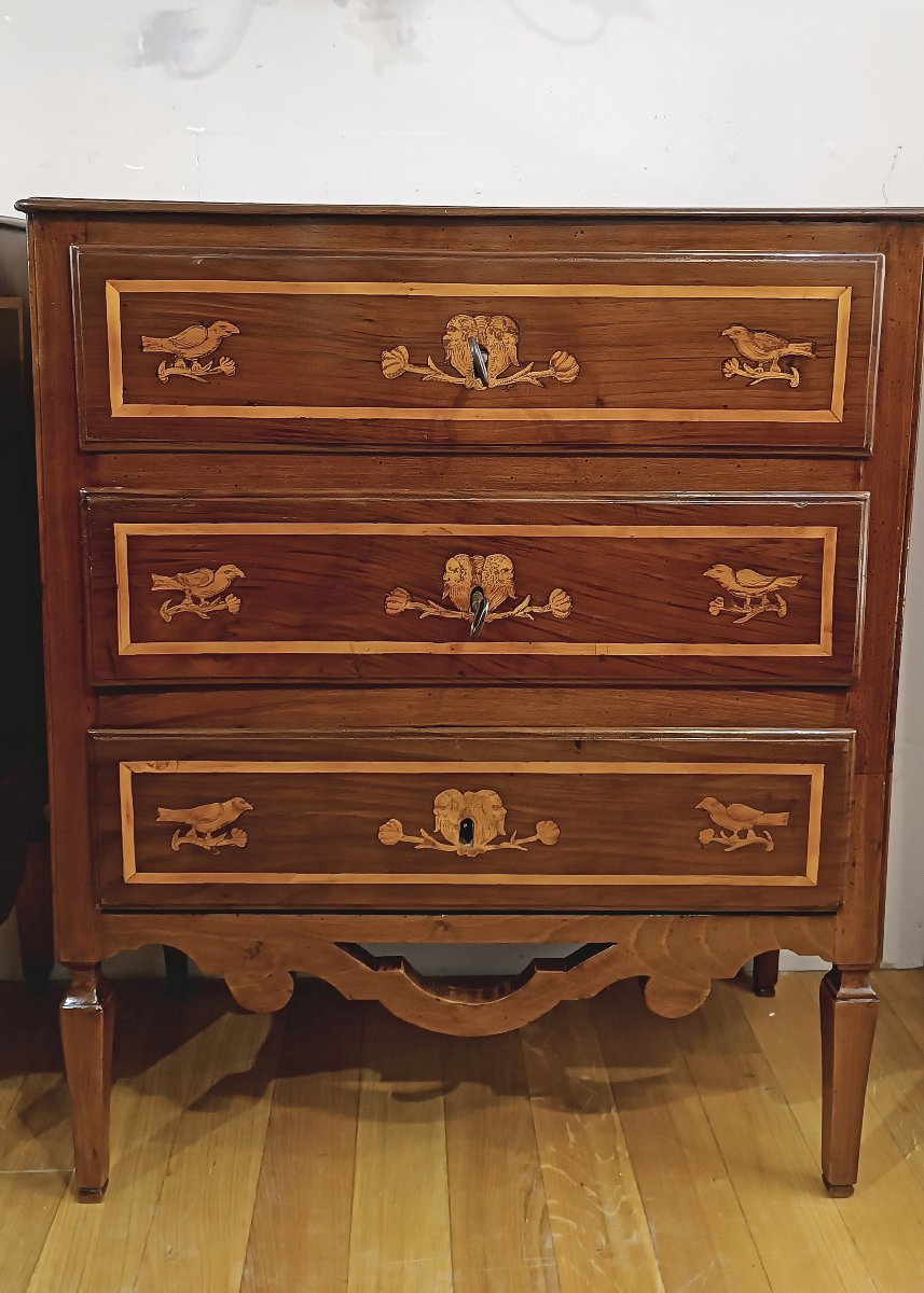 Late 18th Century Pair Of Neoclassical Chest Of Drawers With Inlays -photo-7