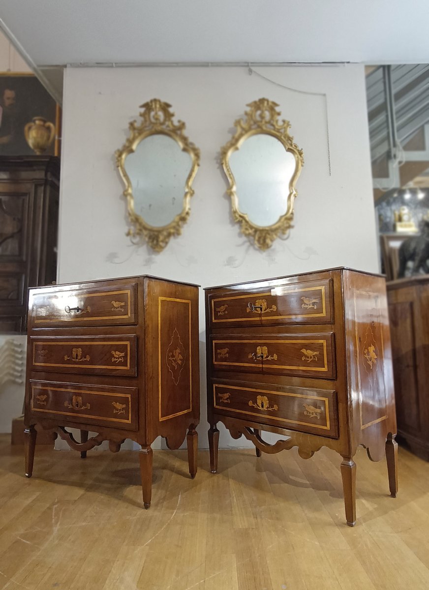Late 18th Century Pair Of Neoclassical Chest Of Drawers With Inlays -photo-8