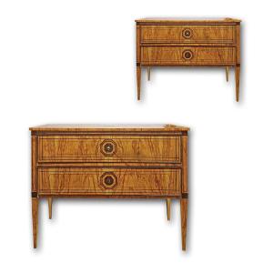 Second Half Of The 19th Century Pair Of Neoclassical-style Chest Of Drawers