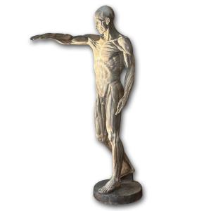 19th Century Anatomical Model Sculpture