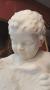 1798440-alb-6a61faca8f21f.jpg