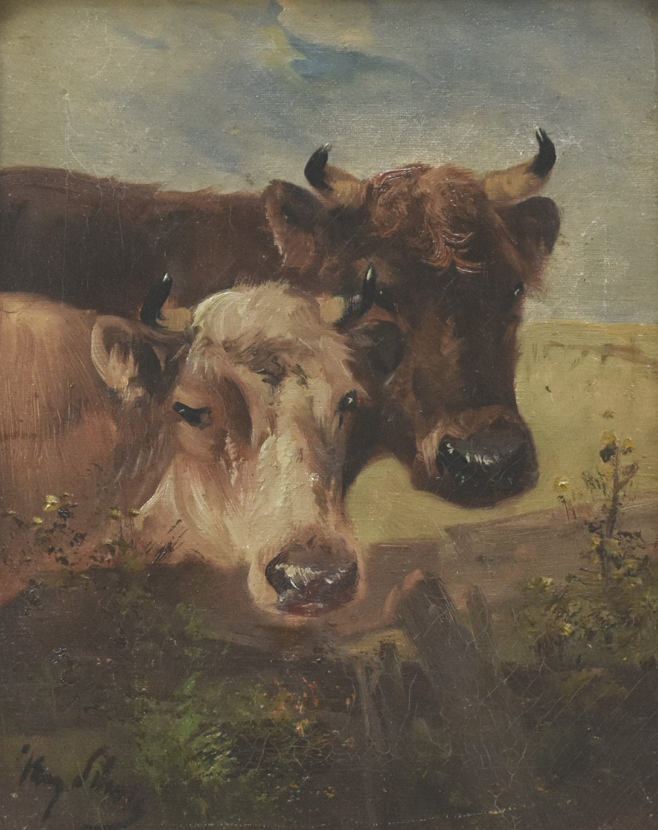 Schouten, Henry  (1857-1927)-photo-2
