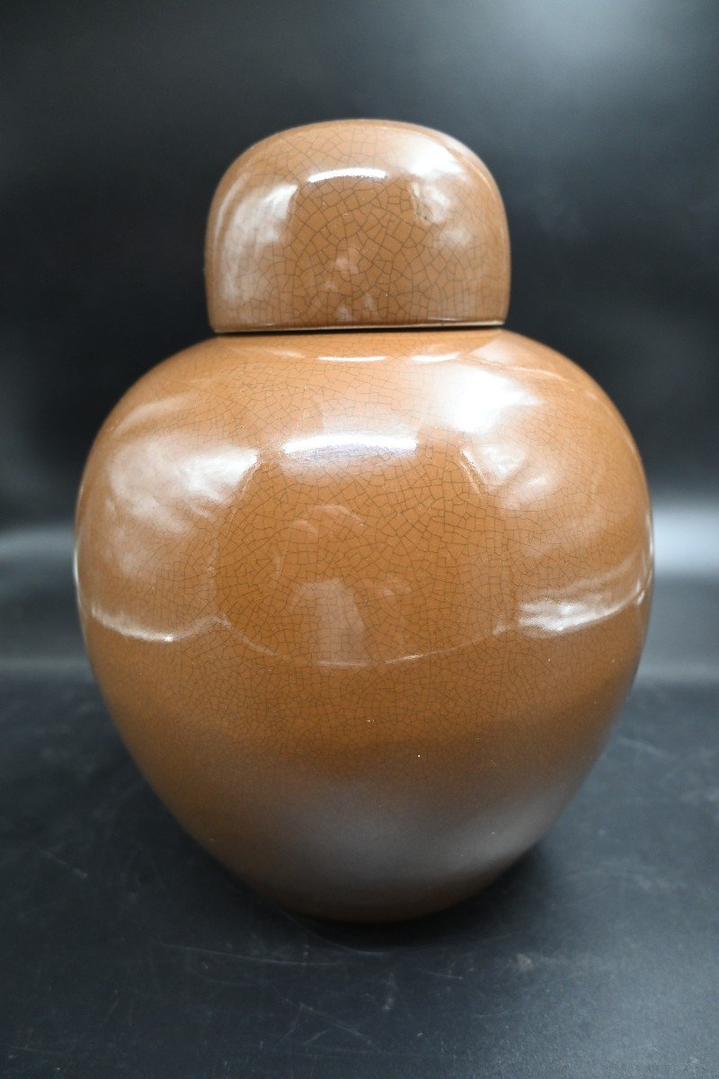 Monochrome Chinese Porcelain Potiche