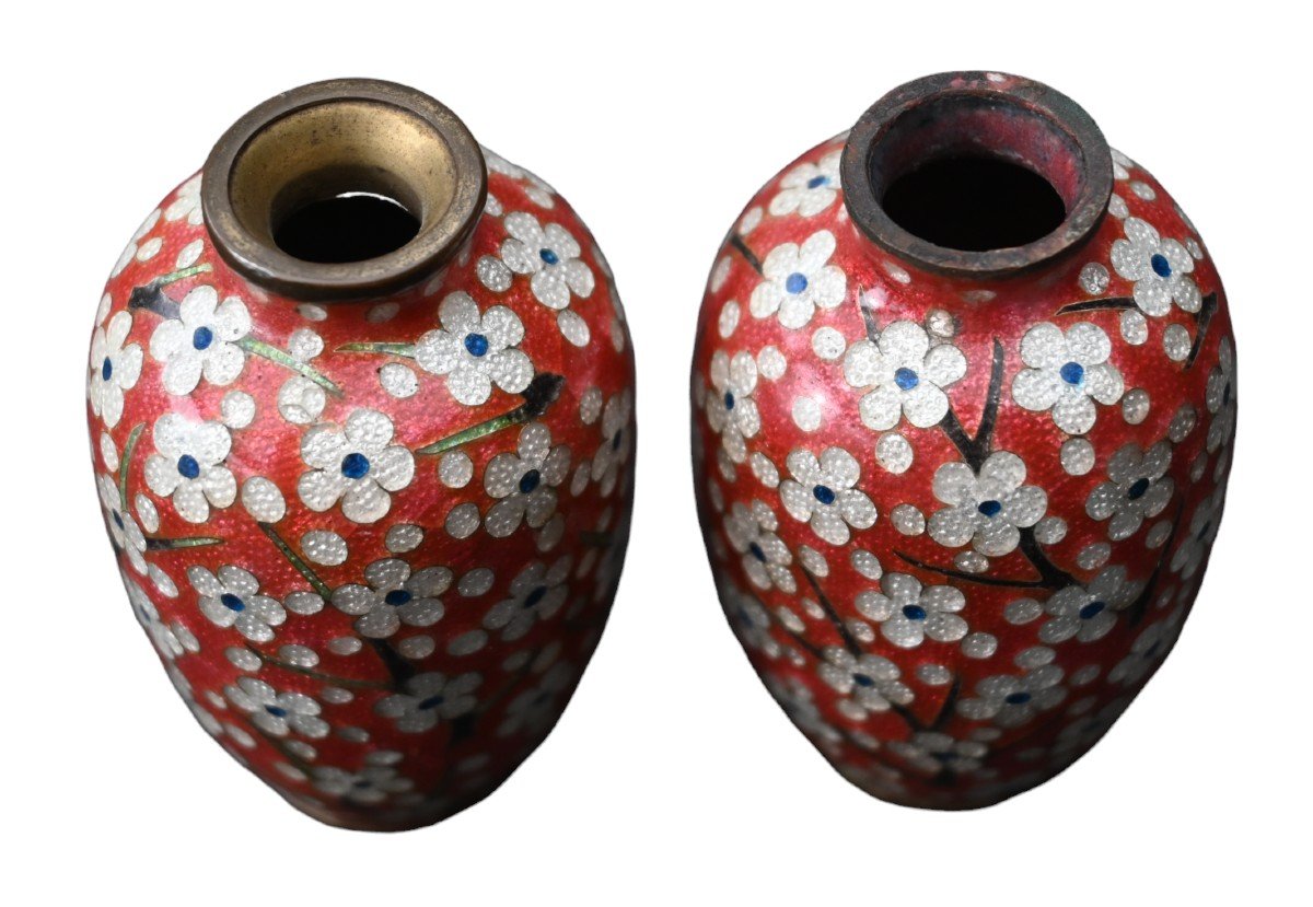 Japan Pair Of Vases With Cloisonné Enamels, Meiji (late 19th Century)-photo-3