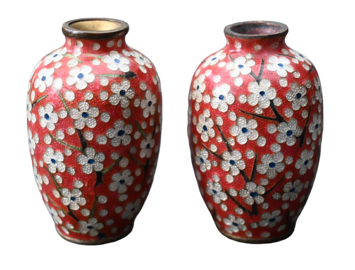 Japan Pair Of Vases With Cloisonné Enamels, Meiji (late 19th Century)