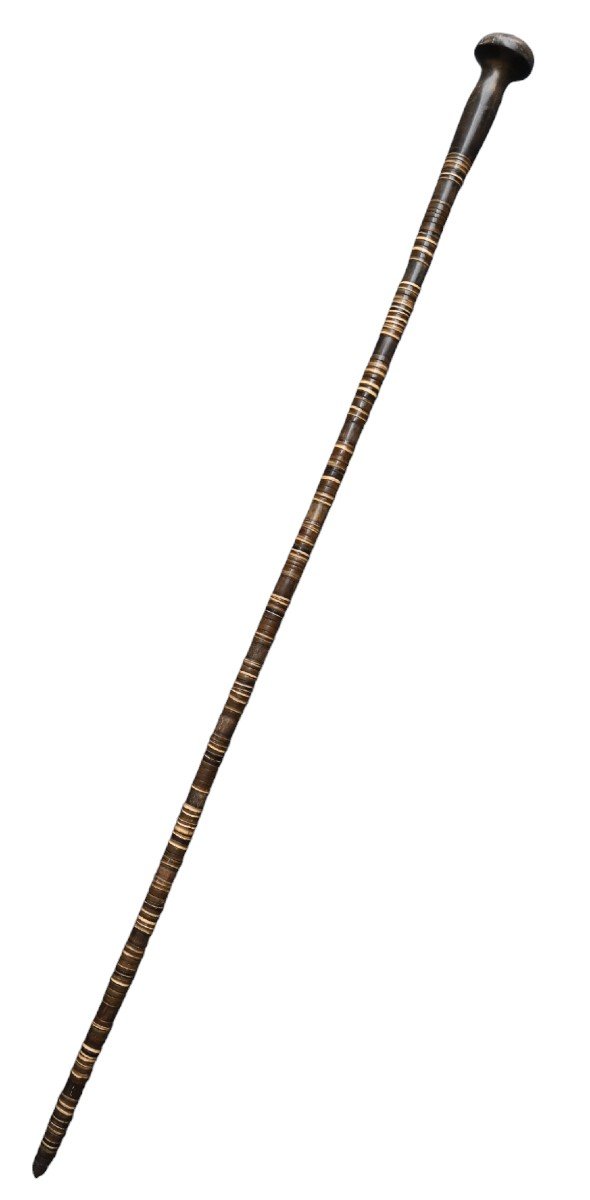 Canne Antique De Defense, Corne Empilée, XIXème Siècle-photo-2