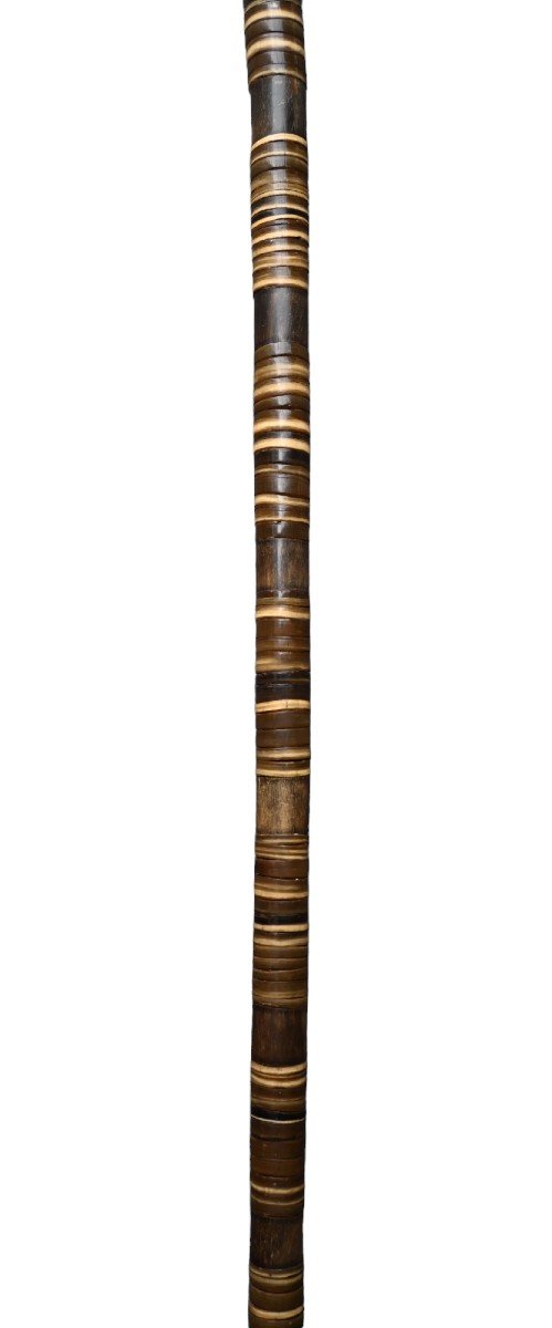 Canne Antique De Defense, Corne Empilée, XIXème Siècle-photo-3