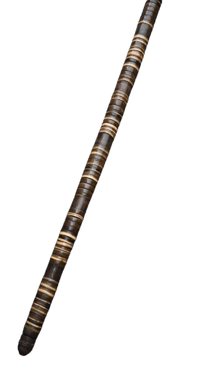 Canne Antique De Defense, Corne Empilée, XIXème Siècle-photo-4
