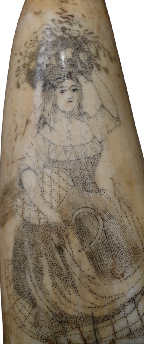 Belle Dent De Cachalot Scrimshaw, 19ème Siècle-photo-2