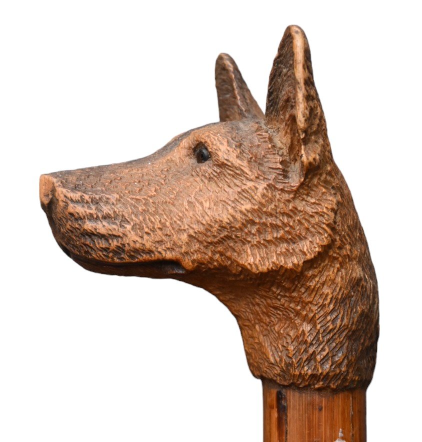 Canne En Bois Avec Tête De Chien-photo-3