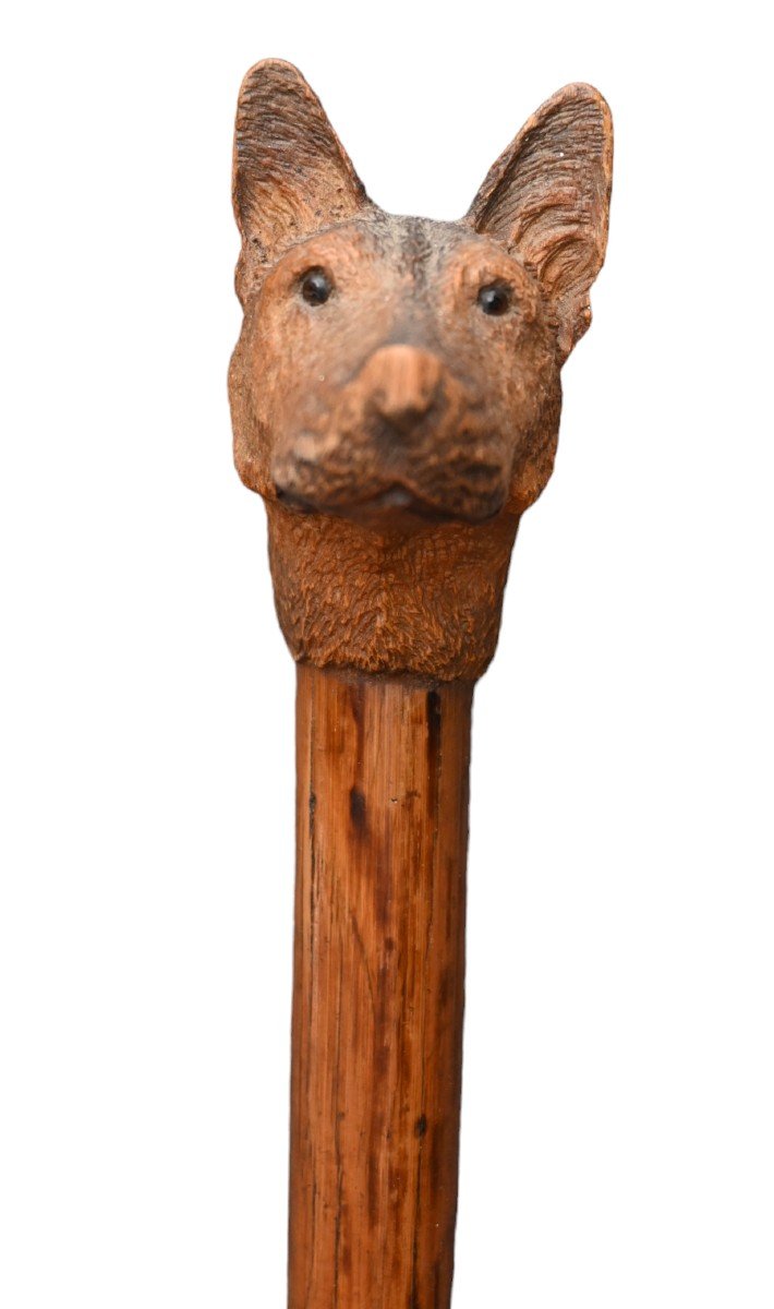 Canne En Bois Avec Tête De Chien-photo-1