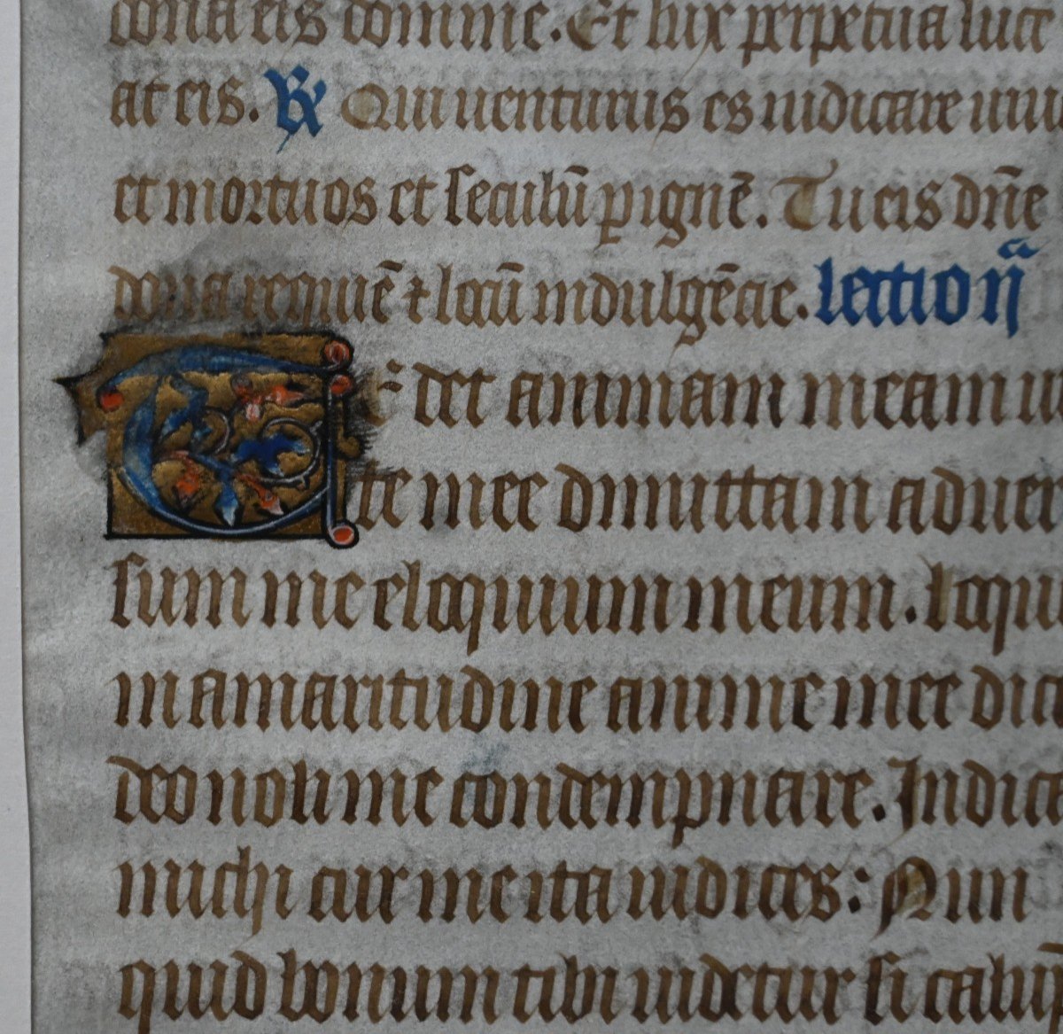 Illuminated Manuscript Parchment, Gothic Period, 15th Century-photo-2