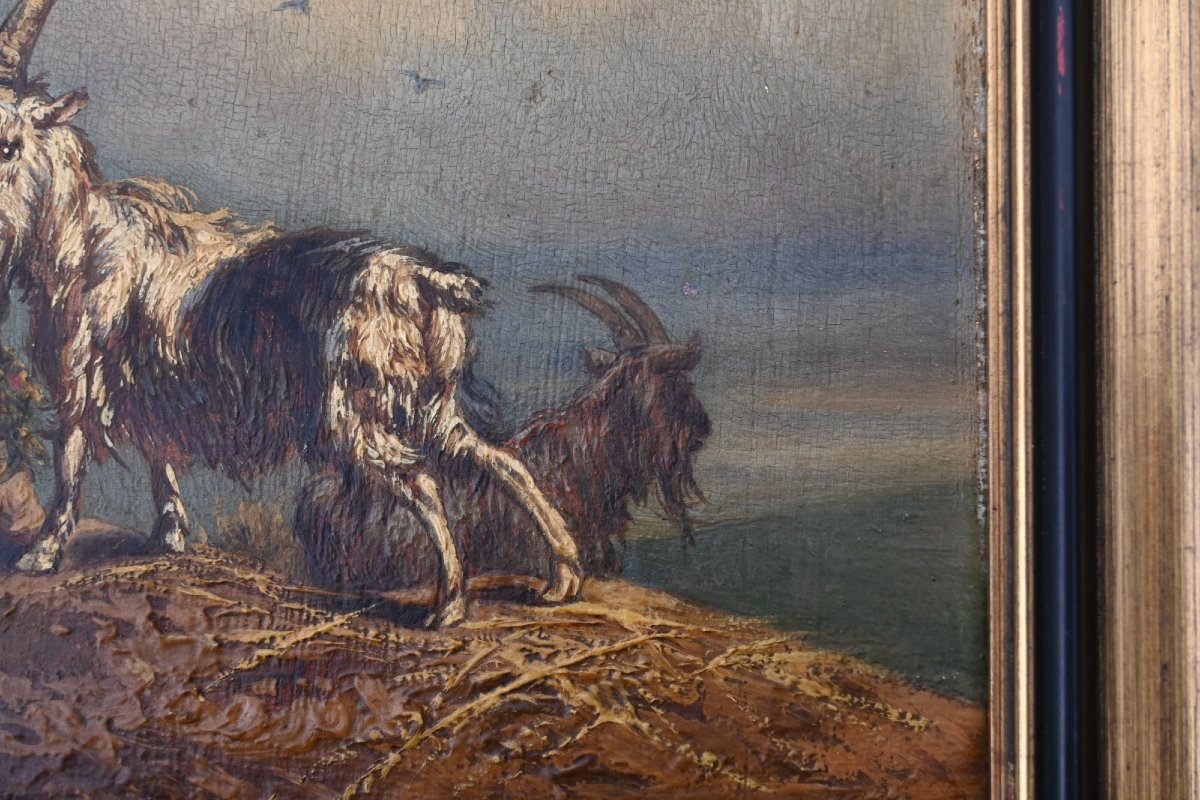 Peinture Sur Panneau d'Un Bouc Et d'Une Chèvre, 1838-photo-4
