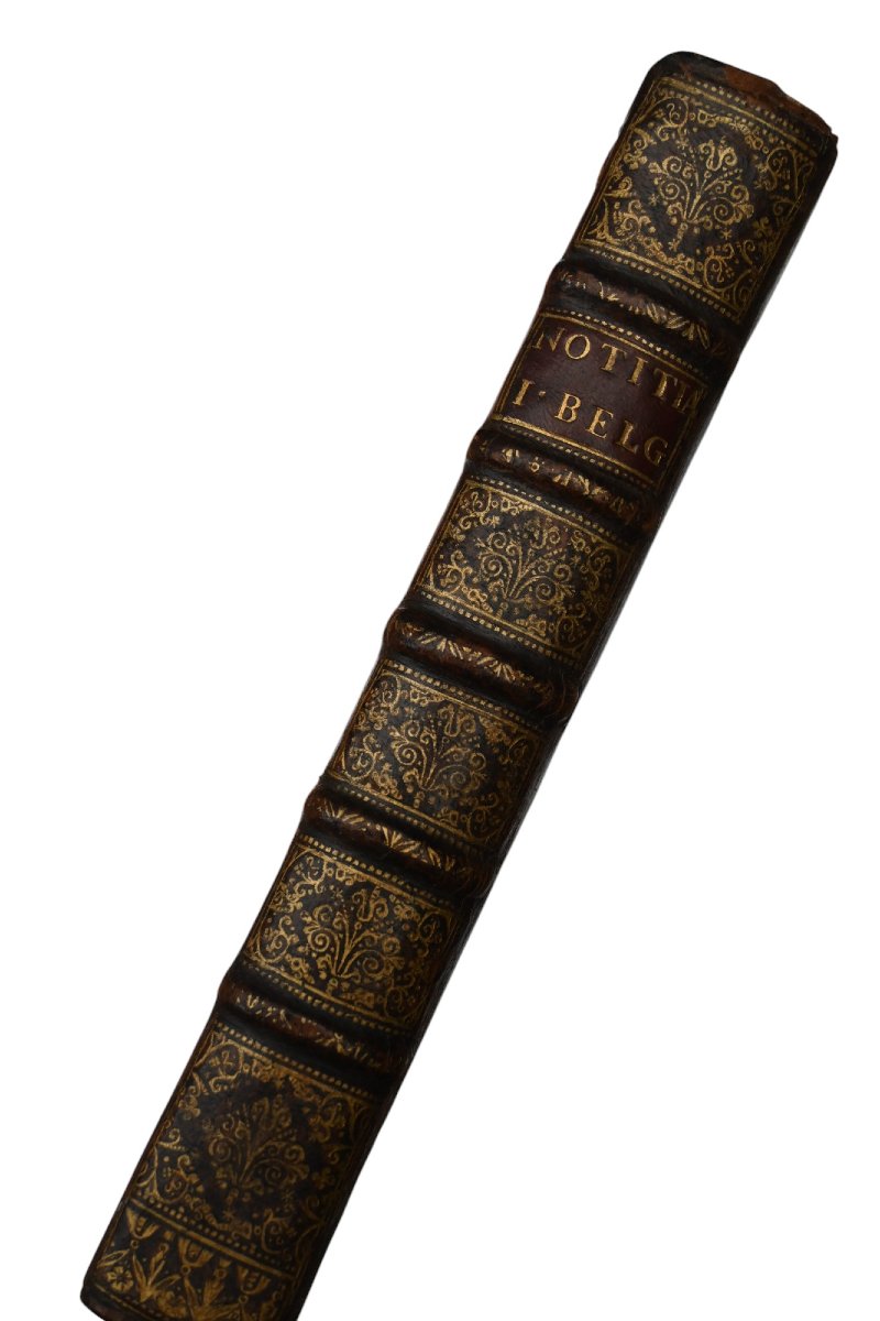 Notitia Iuris [juris] Belgici, Francisco Zypaeo, Antverpiae - Law Of The Spanish Netherlands 1665-photo-3