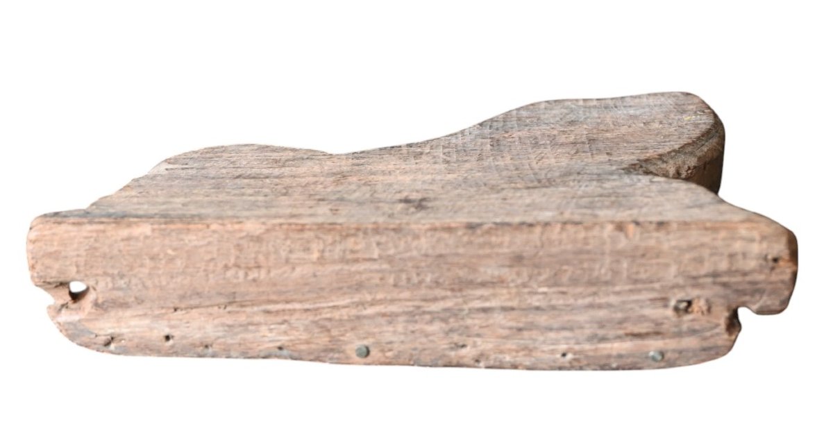 Figure de Lion en Teck Sculpté à la Main – XIXe Siècle – Origine Asie du Sud-photo-4