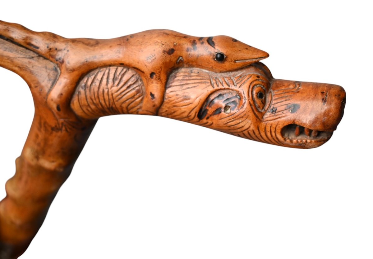 Canne ancienne en bois sculpté – Manche fantastique , 19 éme siécle-photo-3