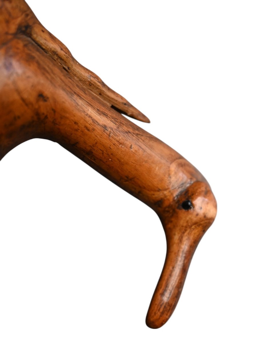 Canne ancienne en bois sculpté – Manche fantastique , 19 éme siécle-photo-4