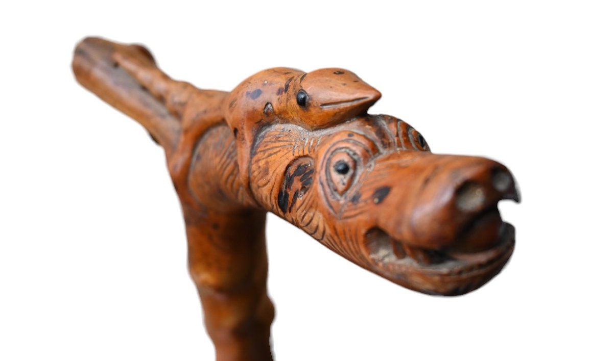 Canne ancienne en bois sculpté – Manche fantastique , 19 éme siécle-photo-5