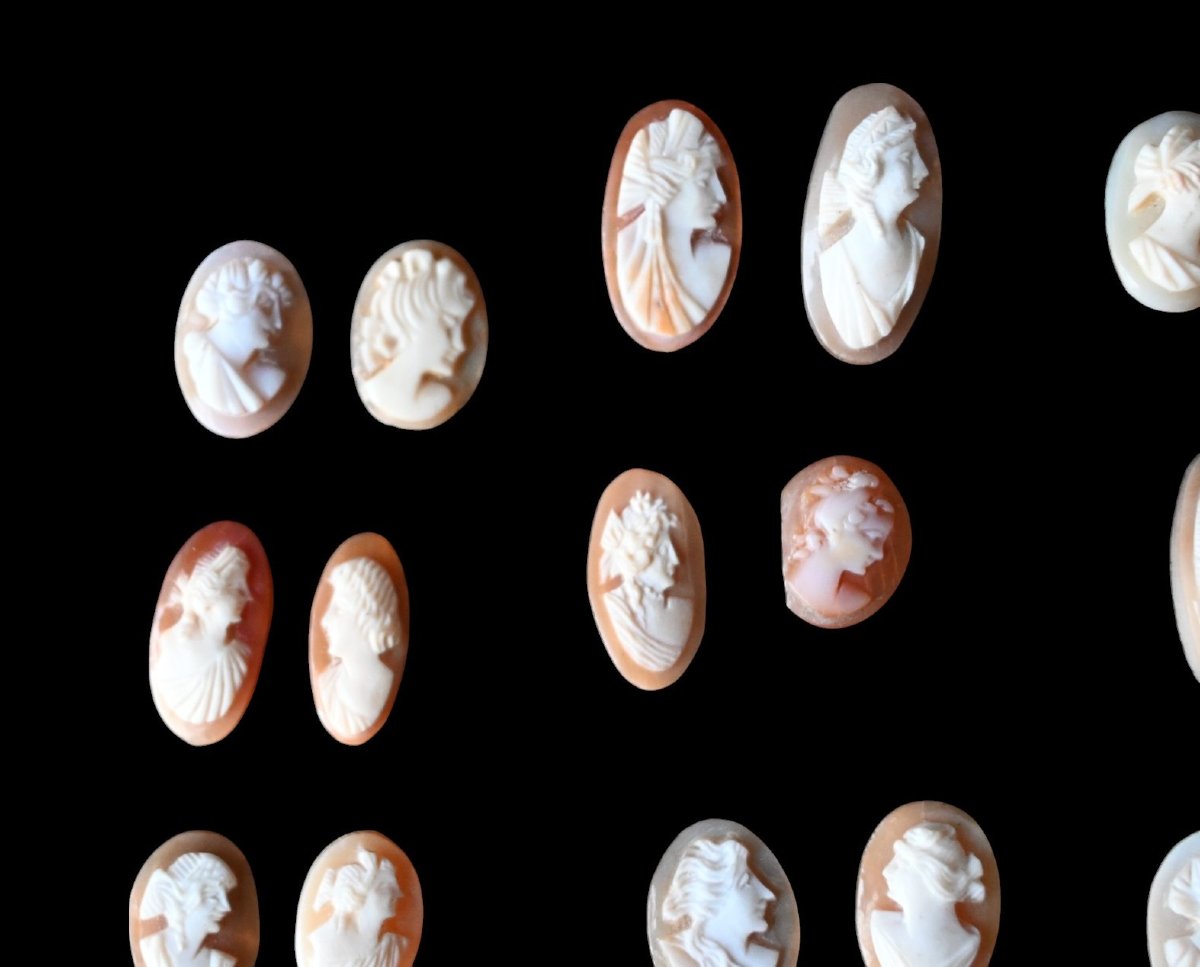 Lot Of 20 Antique Cameos Carved From Shell-photo-2