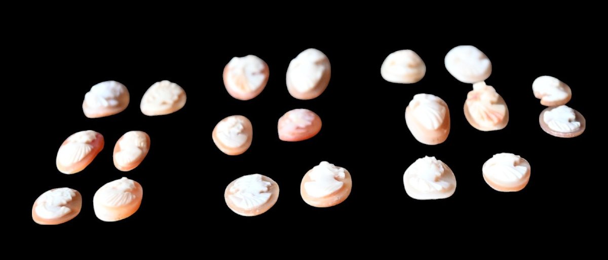 Lot Of 20 Antique Cameos Carved From Shell-photo-2