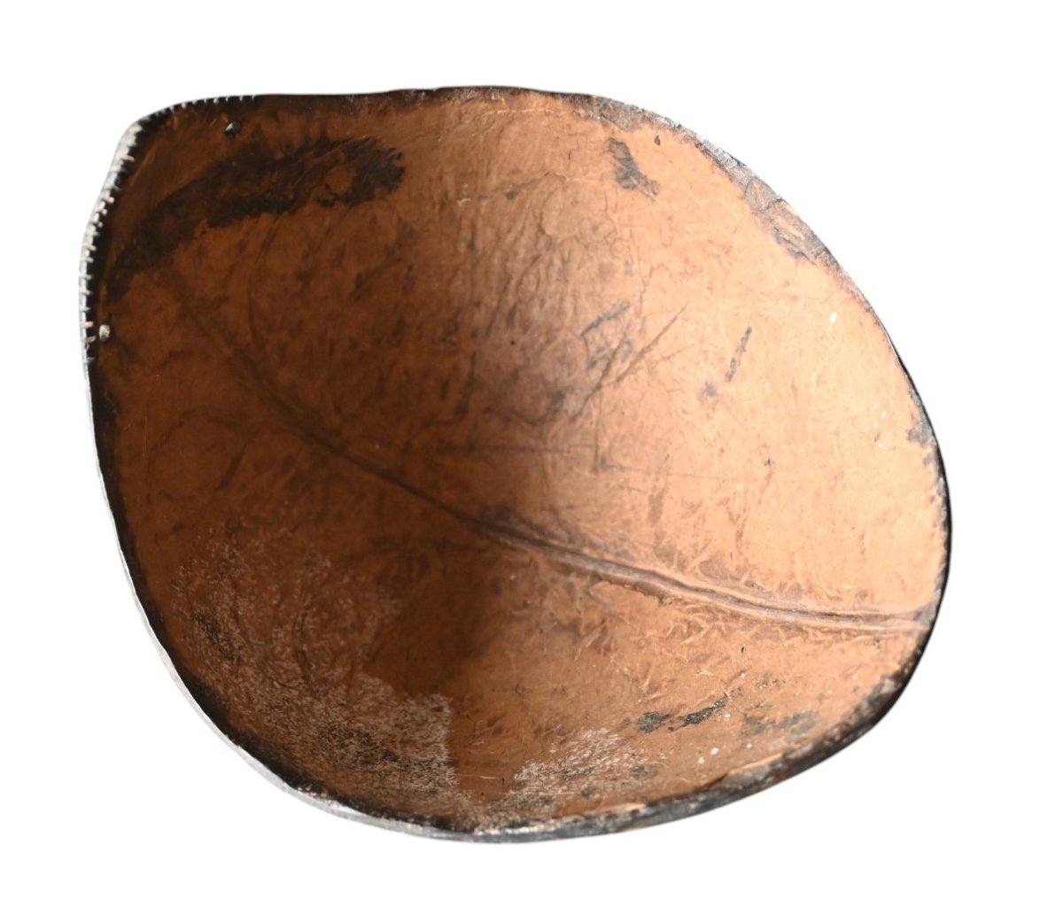 Coupe Rituelle Sculptée en Coque de Noix de Coco – Peuple Iatmul, Rivière Sepik,  PNG-photo-3