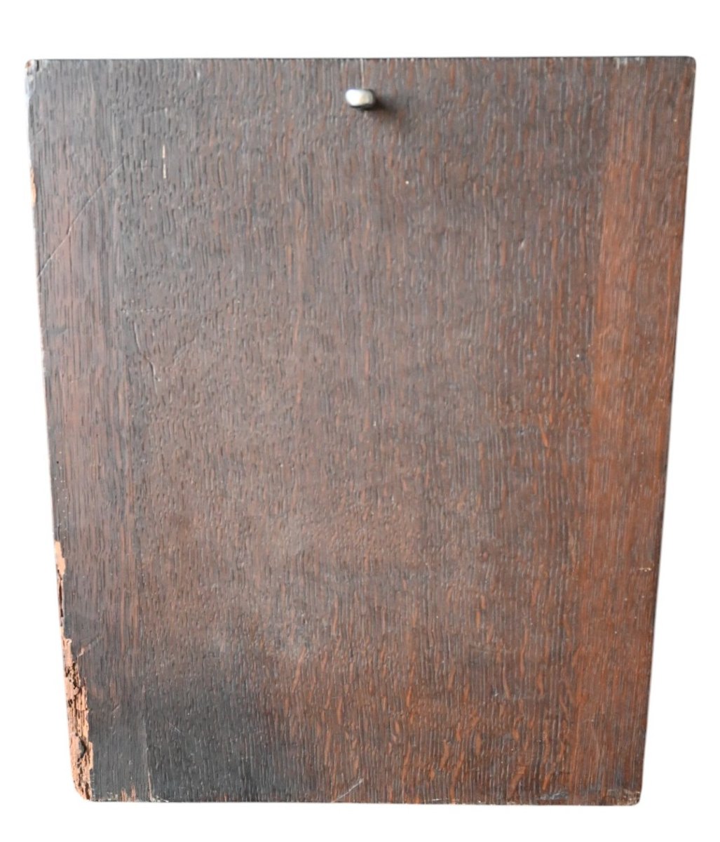 Rare Gothic Oak Panel Carved With Vine And Grape Cluster Motif, Circa 1320–1400-photo-4