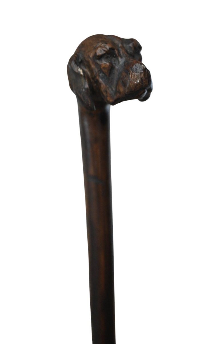 Antique Cane Carved With A Dog's Head, Circa 1900-photo-3