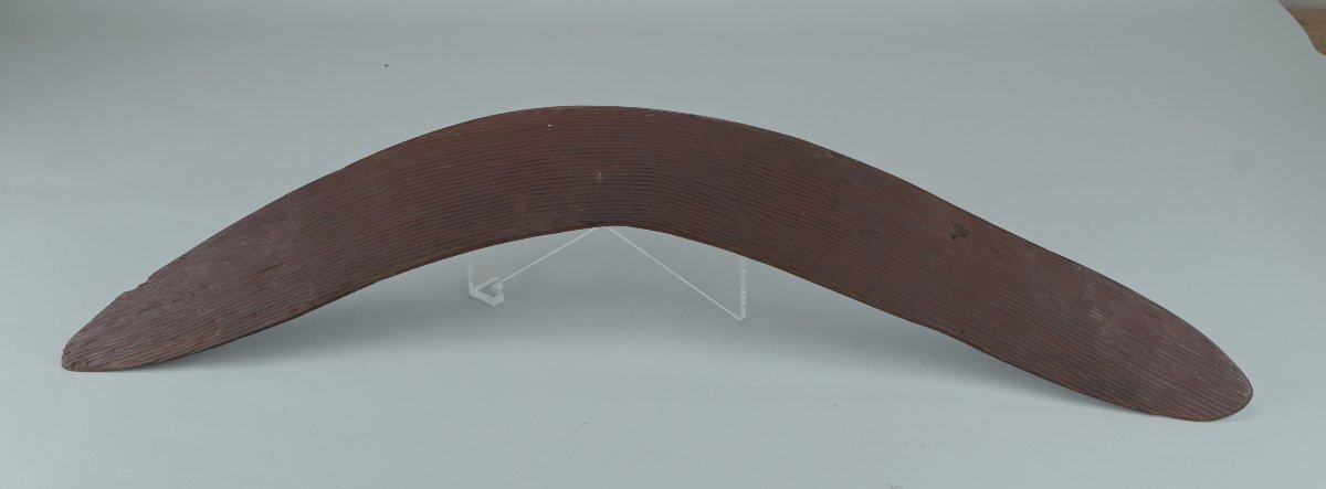 Boomerang aborigène — Australie,  région du désert central, début du XXe siècle-photo-2